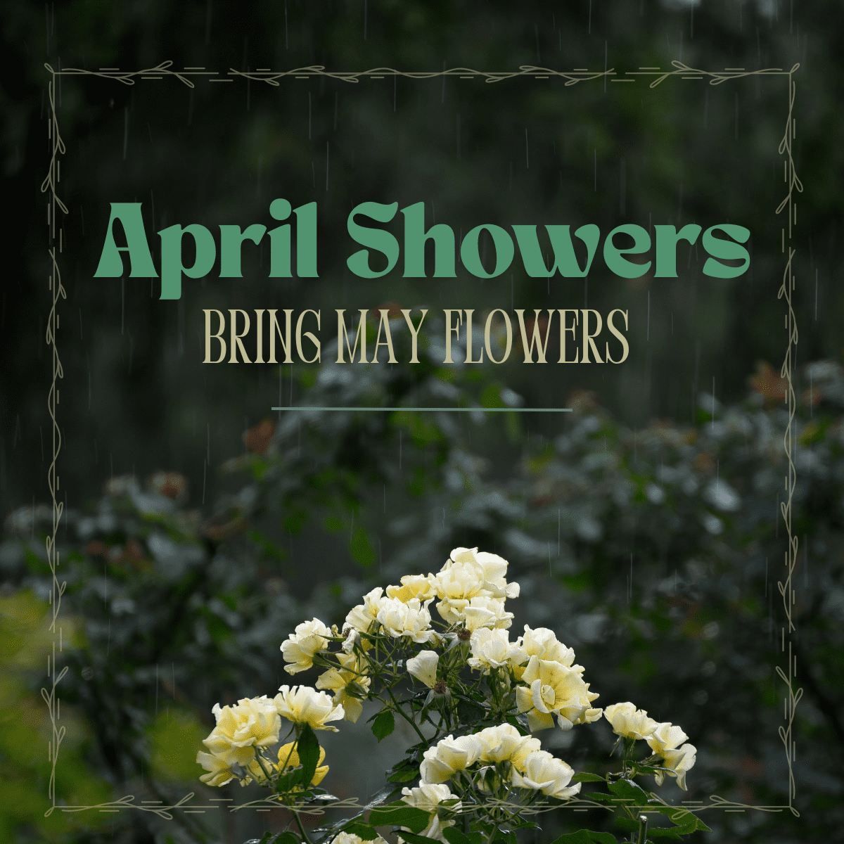 April showers bring May flowers text.