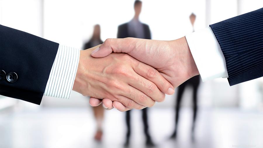 Two people shaking hands with blurred business team in background.