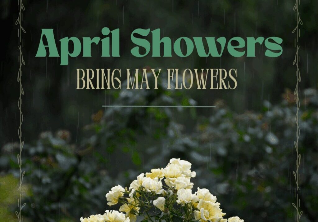 April showers bring May flowers text.